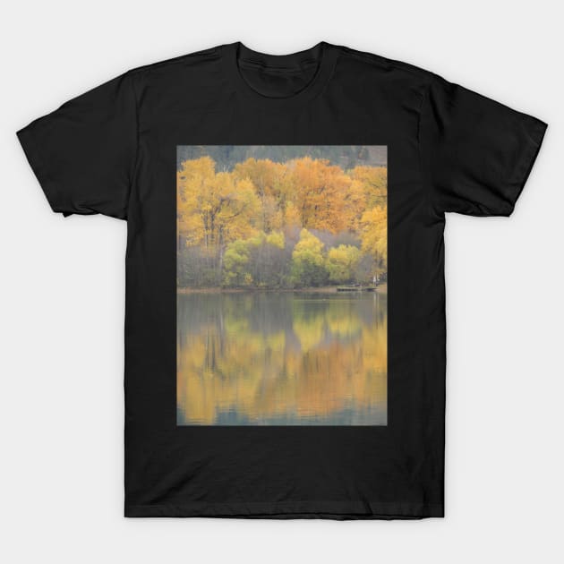 Fall Pastel Colours T-Shirt by Steves-Pics